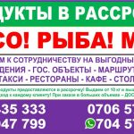 Продукты в рассрочку Бишкек: МЯСО РЫБА МЕД! Выгодно