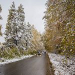 Похолодает, возможен снег — прогноз погоды по Кыргызстану на 29 октября