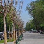 Тепло, местами осадки — прогноз погоды по Кыргызстану на 13 марта