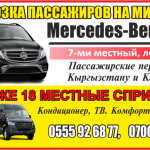 Перевозка пассажиров на минивене Mercedes-Benz Vito