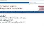 Сайт Жогорку Кенеша взломали хакеры. Что они требуют