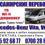 Перевозка пассажиров на минивене Mercedes-Benz Vito, Vianо