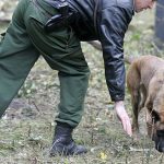 Берлинская полиция задержала школьного учителя по подозрению в каннибализме