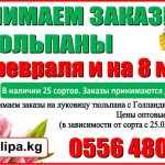 Принимаем заказы на тюльпаны к 14 февраля и 8 марта 2021