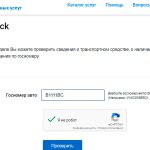 Carcheck и проверка УИК: ГРС назвала свои самые популярные онлайн-услуги