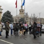 Проходит митинг в защиту животных. Договорились объявить мораторий на отстрел собак