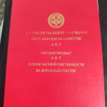 Продается земельный участок 20 сот., в с. Ново-Покровка, ул. Фрунзе 193