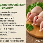 Свежие перепёлки – 800 сом/кг!
