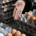 Кыргызстан стал полностью обеспечивать себя сахаром и яйцами