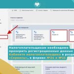 Онлайн-перерегистрацию для предпринимателей запустила Налоговая служба КР