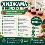 Хиджама в Бишкеке. Эффективный способ разжижения крови